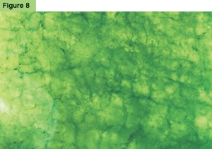 Photo courtesy Sharrie Woodring Concentration of dye in surface cracks in green jadeite jade.