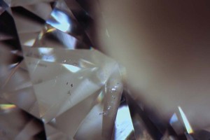 Photo courtesy Mark T. Cartwright Utilizing the 'wet grading' technique on this diamond, small crystal inclusions appear dark against the reflection of the sponge, while reflective feathers brighten.