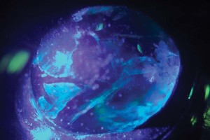 Photo courtesy Mark T. Cartwright Although deep within the emerald, the yellowish-white fluorescence caused by the near-UV laser's intense beam can reveal the extent of 'oiling.'