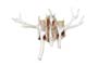 Best in Design/Student Category:  Resting Trees