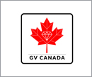 Gemvision