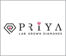 Gemvision