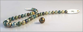 An update on pearl localities An update on pearl localities