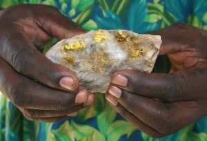 A small-scale miner with gold in quartzite.