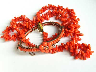 Report looks to the future of precious coral