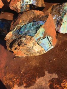 A boulder opal in ironstone. The black marks show where it will be sawn. This opal type has a dramatic colour scheme.