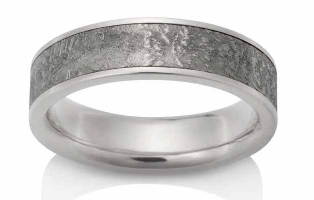 Gibeon meteorite with 18-karat palladium white gold.