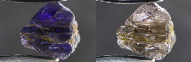 Photomicrographs by Nathan Renfro/GIA Johnkoivulaite shows strong pleochroism, going violet (left) to near-colourless (right) when examined with polarized light. (Field of view: 10.05 mm.)