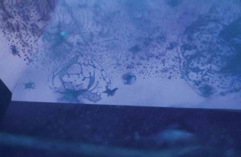 A 10.64-carat HPHT-treated faceted sapphire unresponsive to traditional heating methods was treated again with heat plus pressure and re-polished.