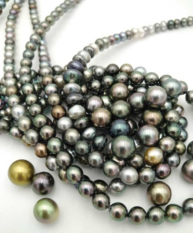 Round and half-round cultured Tahitian pearls.