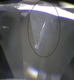 Photo courtesy GSI A lab-grown diamond with an inclusion typically only found in natural stones has been identified at Gemological Science International’s (GSI’s) Mumbai laboratory.