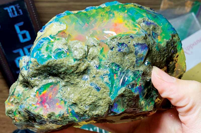 The Tucson shows offered many incredible finds, including this rough Ethiopian opal.