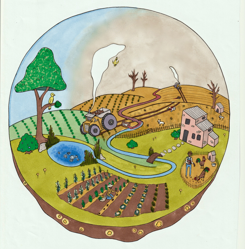 Illustration by Allyssa Barstow (alyssathefriend.com)/courtesy Marc Choyt Reflective Jewelry