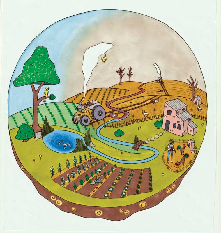 Recycling metals, diamonds, and/or lab-grown diamond do not reduce the impact of mining on producer communities. Illustration by Allyssa Barstow (alyssathefriend.com)/courtesy Marc Choyt Reflective Jewelry