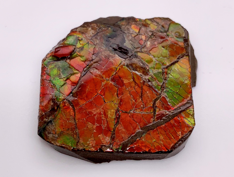 Ammolite is set to become Alberta’s official gemstone. Photo by Rippana Gems/Lauriane Lognay