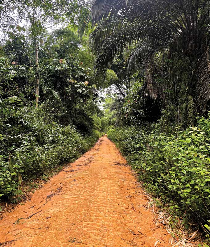 On the way to Mirundu, Maniema province, DRC