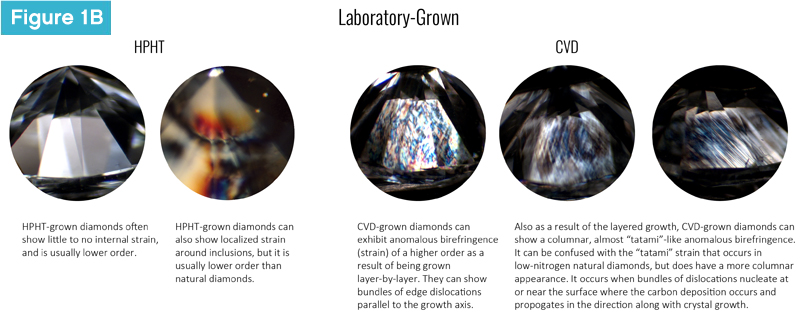 This or that How lab grown and natural diamonds differ Jewellery Business