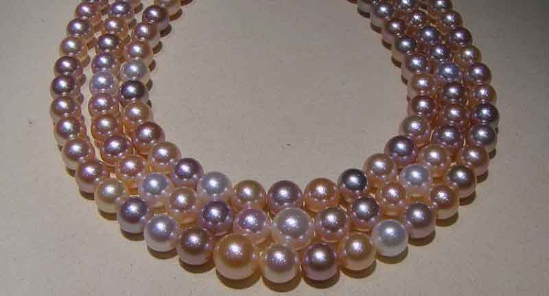Nearly round freshwater cultured pearls from China in natural pink to purplish and orange hues, produced without a mother-of-pearl bead. Photo courtesy Mastoloni
