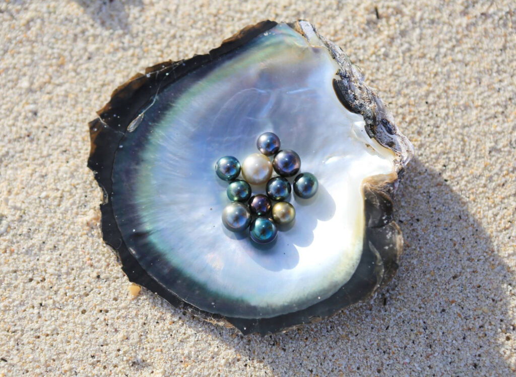 Several pearls of different colours sit in the centre of an oyster shell placed on the sand.