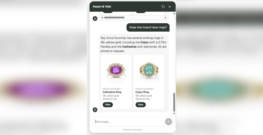An example of Sherpa at work in a chatbox with a brand inquiry.